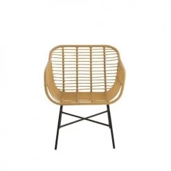 LANADECO Fauteuils De Jardin Fauteuil Bas De Jardin Style Rotin -Fauteuils de jardin Soldes Boutique fauteuil bas de jardin style rotin 2